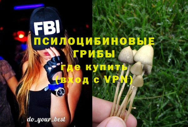 бошки Каменка