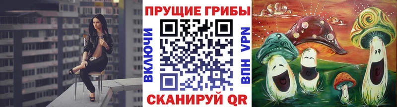 Псилоцибиновые грибы мицелий  дарк нет наркотические препараты  Вихоревка  хочу наркоту 